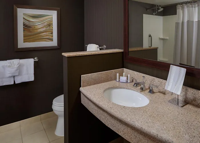 Courtyard By Marriott Houston Medical Center/Nrg Park