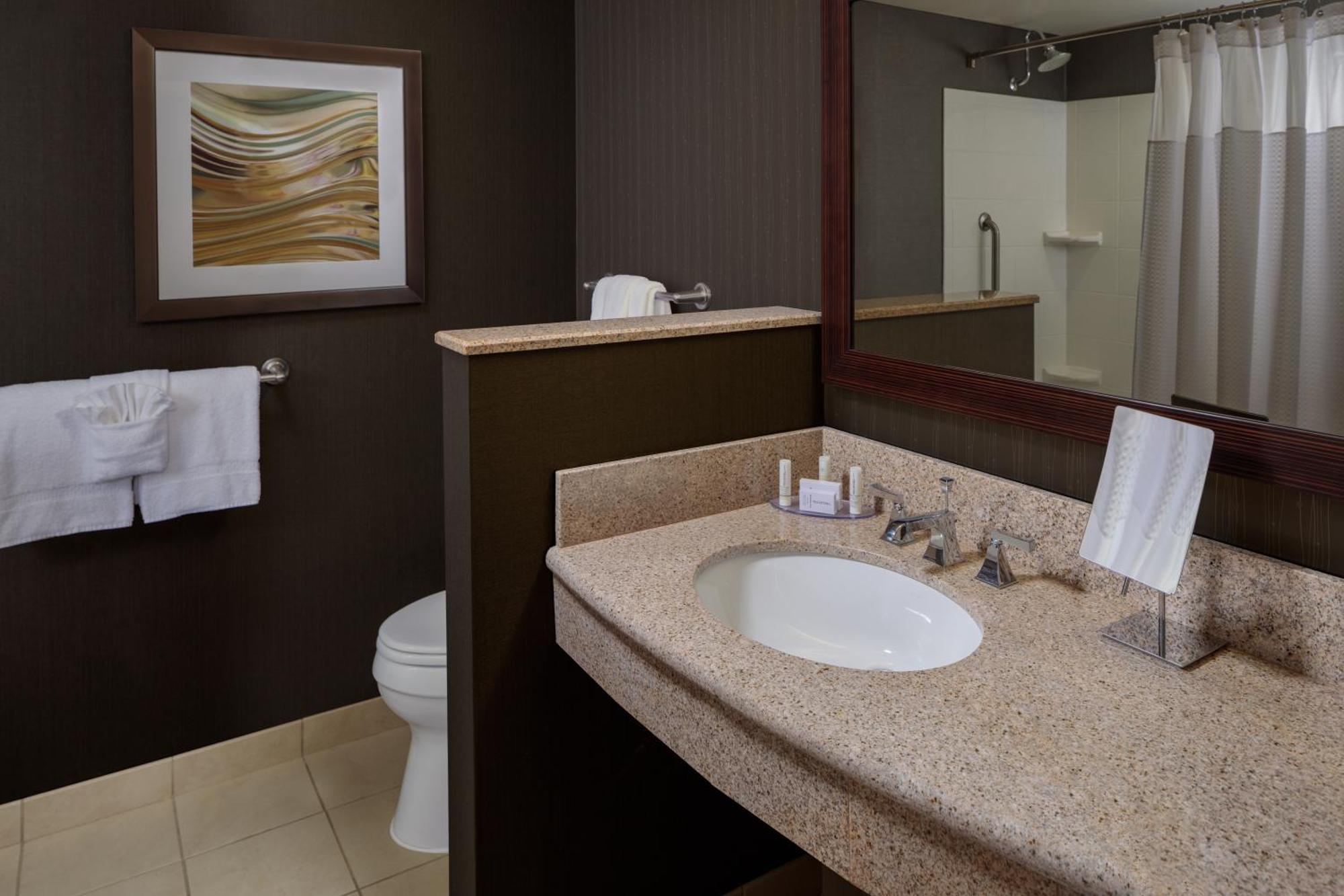 Hotel Courtyard By Marriott Medical Center/nrg Park 3*